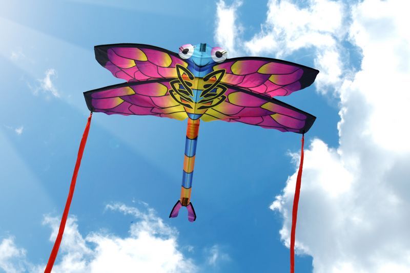 X-Kites SkyBugz Kites - Einleiner-Drachen/Kinderdrachen (1-Leiner) rtf (flugfertig) Libelle 111 cm x 110 cm bunt